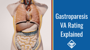 Photo of an anatomical model of a person from the shoulders to the pelvis. Article title is to the right: Gastroparesis VA Rating Explained