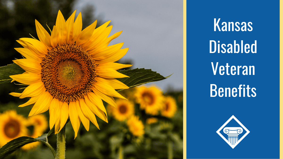An image of a field of sunflowers, the Kansas state flower. Alongside the image is a blue box reading the article title: Kansas disabled veteran benefits