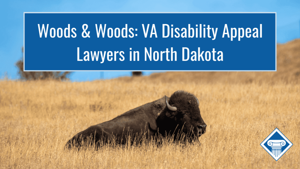 Picture of a bison lying in a field. Article title is across the top: Woods & Woods: VA Disability Appeal Lawyers in North Dakota
