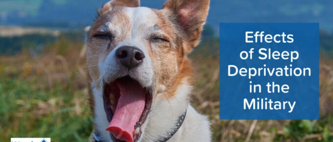 Picture of a dog yawning with its eyes closed. Article title is to the right: Effects of Sleep Deprivation in the Military. Woods and Woods logo is in the bottom left.