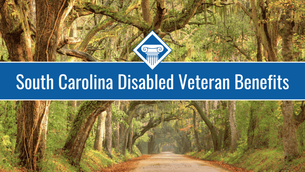 Southern live oak trees create a tunnel over a road. Over the image is a blue banner reading the article title: South Carolina disabled veteran benefits