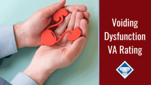 Photo of someone's hands holding a paper diagram of the bladder. Article title is on the right side: Voiding Dysfunction VA Rating.