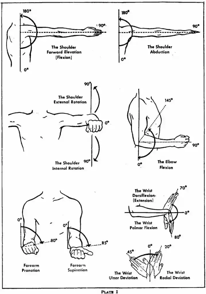 An image of flexion, rotation, abduction, pronation, and supination of the arm.